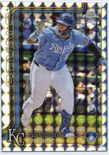 Salvador Perez