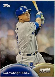 Salvador Perez