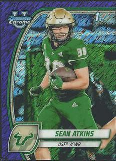 Sean Atkins
