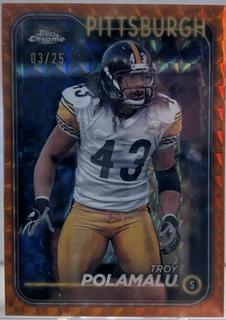 Troy Polamalu