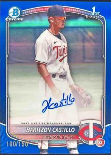 Haritzon Castillo