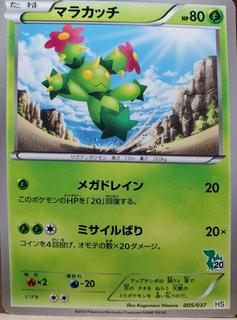 Maractus