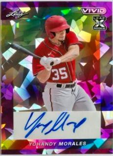 Yohandy Morales