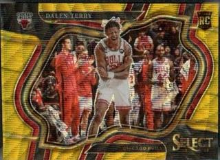 Dalen Terry