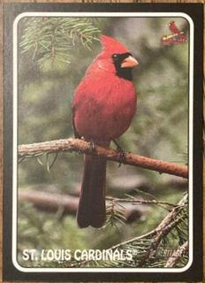 St. Louis Cardinals
