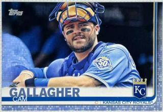 Cam Gallagher