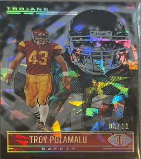 Troy Polamalu