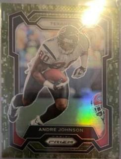 Andre Johnson