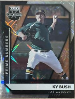 Ky Bush