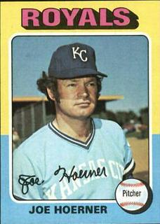 Joe Hoerner