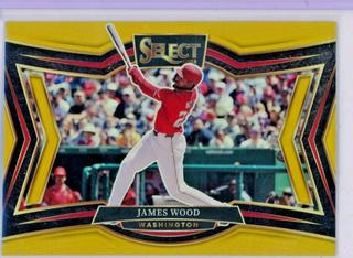 James Wood