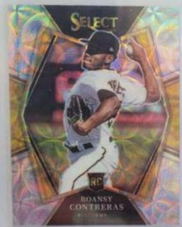 Roansy Contreras