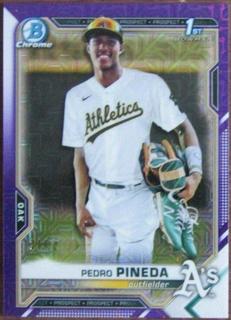 Pedro Pineda