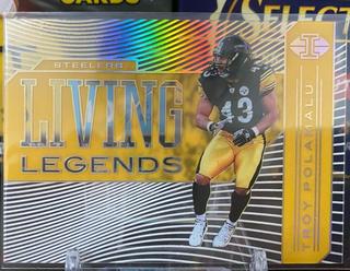 Troy Polamalu