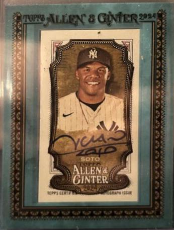 Juan Soto [Blue Frame] #MA-JS