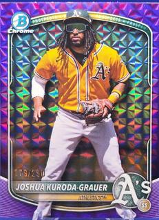 Joshua Kuroda-Grauer