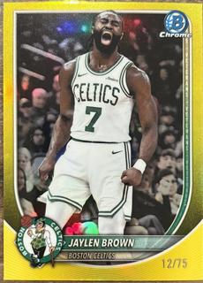 Jaylen Brown