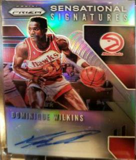 Dominique Wilkins