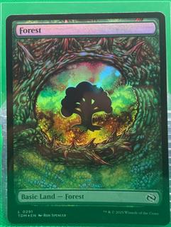 Forest