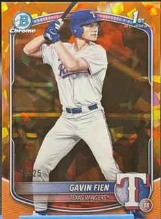 Gavin Fien
