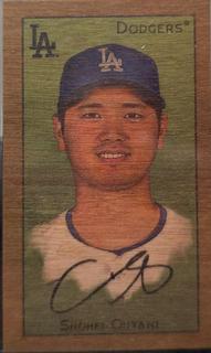 Shohei Ohtani
