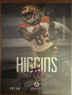 Tee Higgins