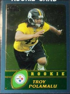 Troy Polamalu