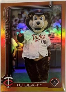 TC Bear
