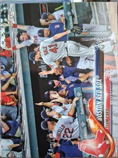 Boston Red Sox Team Card