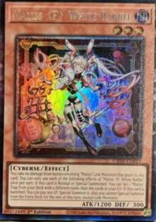 Maliss White Rabbit CRBR-EN015