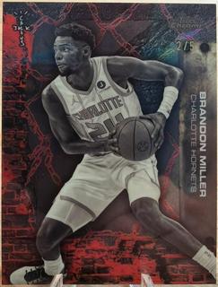 Brandon Miller