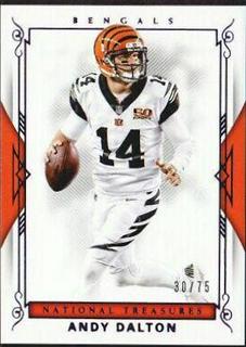 Andy Dalton