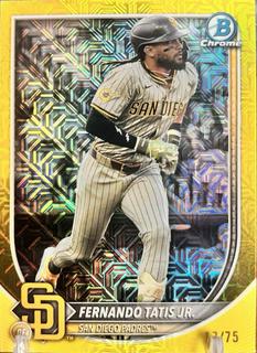 Fernando Tatis Jr.