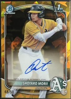 Shotaro Morii