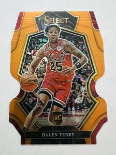 Dalen Terry