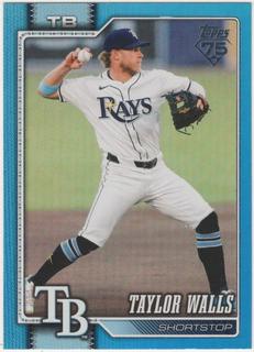 Taylor Walls
