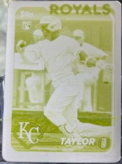 Samad Taylor