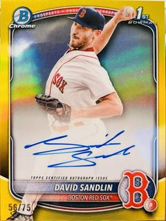 David Sandlin
