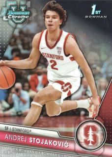 Andrej Stojakovic