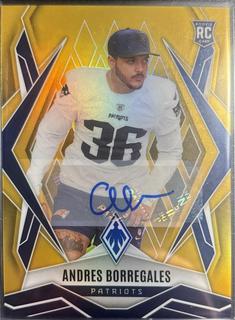 Andres Borregales