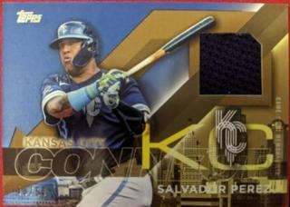 Salvador Perez