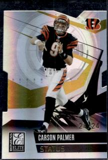 Carson Palmer