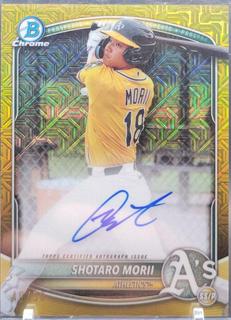 Shotaro Morii