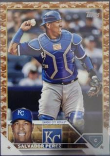 Salvador Perez