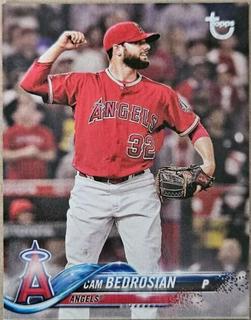 Cam Bedrosian