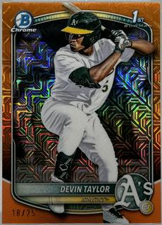 Devin Taylor