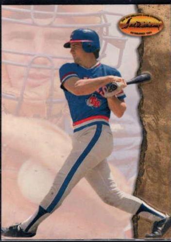 James Howard Sundberg #87 Baseball Cards 1994 Ted Williams Co