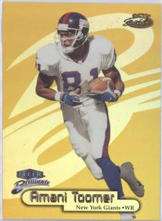 Amani Toomer