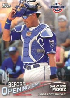 Salvador Perez