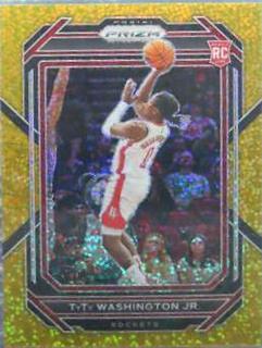 TyTy Washington Jr.